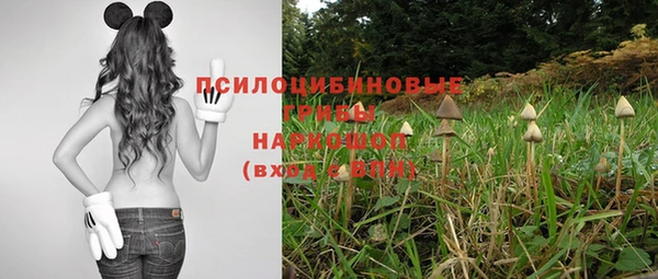 соль ск Корсаков