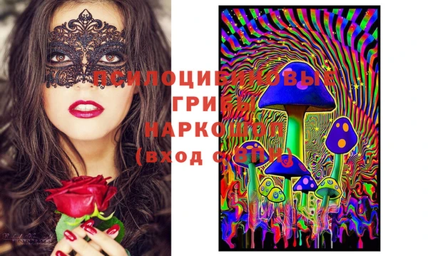 индика Коряжма