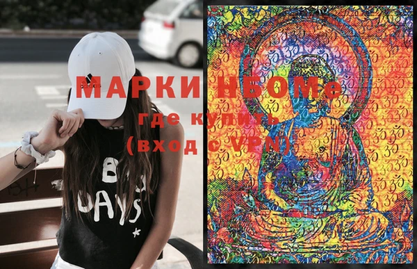 индика Коряжма