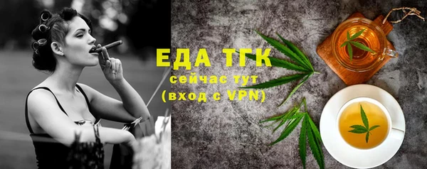 индика Коряжма