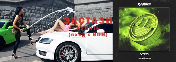 гидра Костерёво